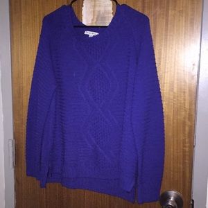 Blue Sweater plus size